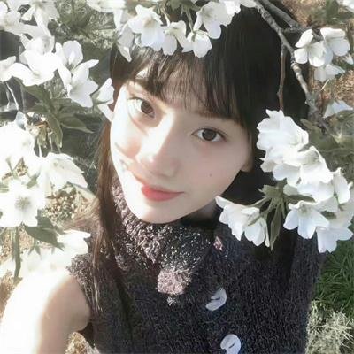 青春韶华