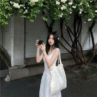 古来诗人皆寂寞